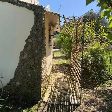 בית נופש Georgia House